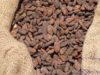 visite-de-manufacture-de-chocolat-